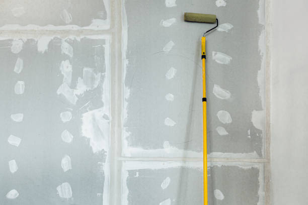 Best Asbestos and Lead Testing During Mold Inspection  in Nokesville, VA