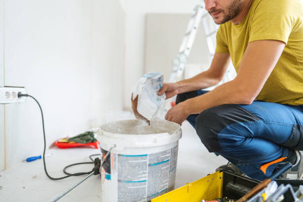 Best Basement Mold Removal  in Nokesville, VA